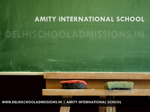 Amity International School Gurgaon 46